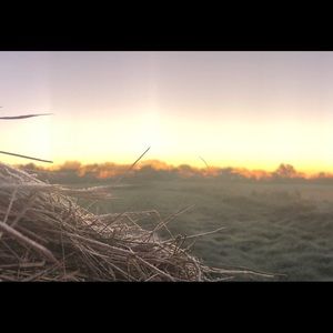 Meet your Posher, Brenton